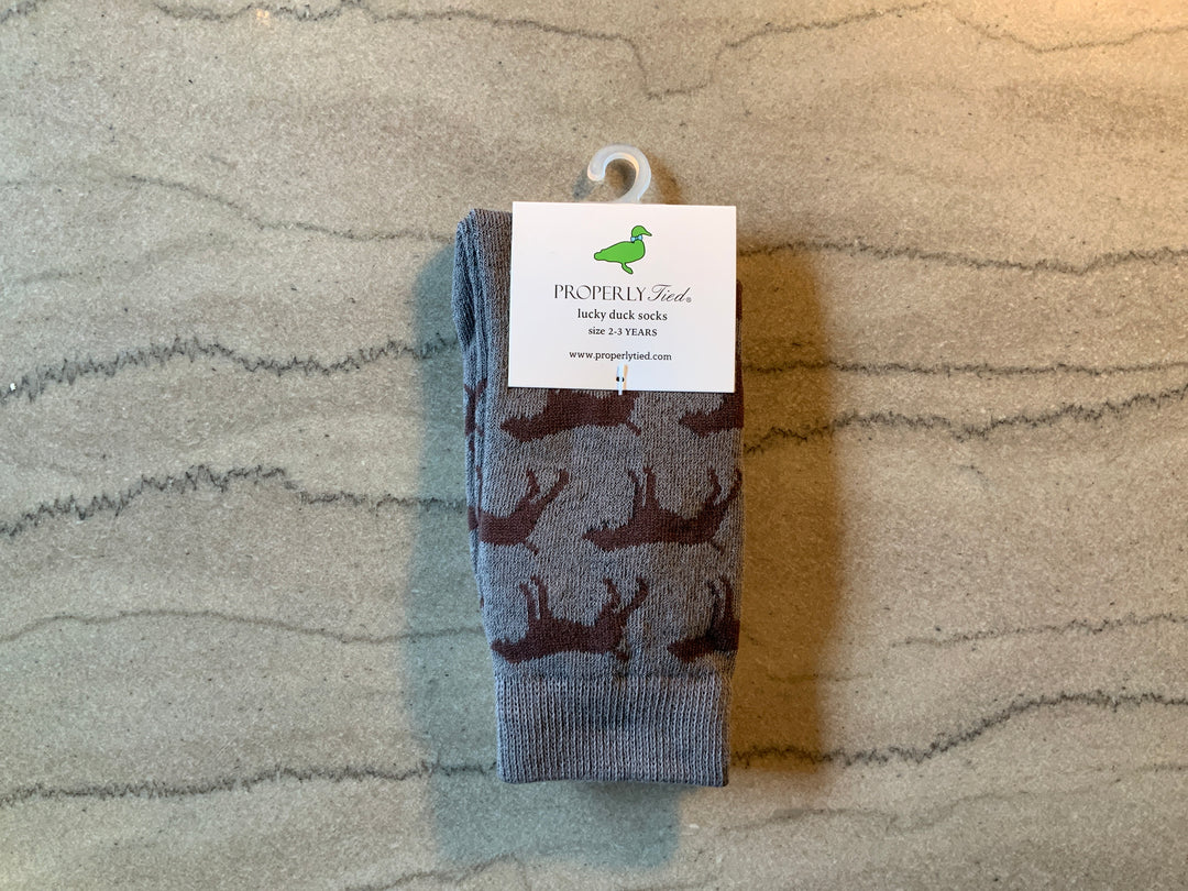 Lucky Ducky Socks Pointer